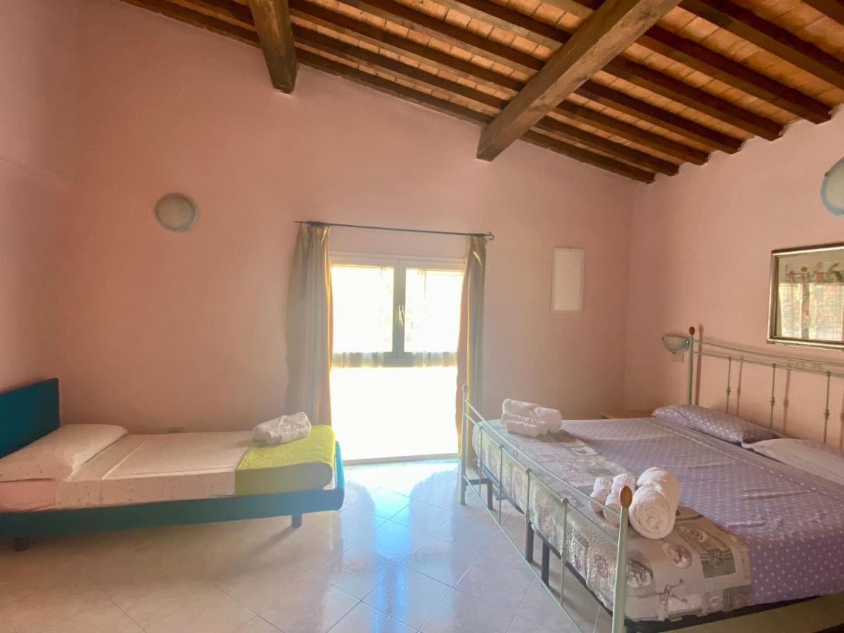 Apartment Tirreno Tirrenia Εξωτερικό φωτογραφία